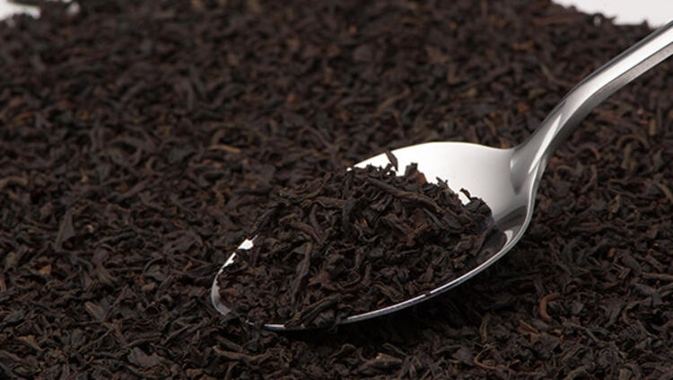 Siyah Çay İçenlerde Parkinson Hastalığı Riski Azalıyor mu?
