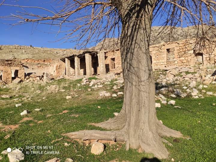 Şeyh Seyda El-Cezeri (k.s) Mardin Dargeçit Akça köyü (izar ) deki küliyesi 